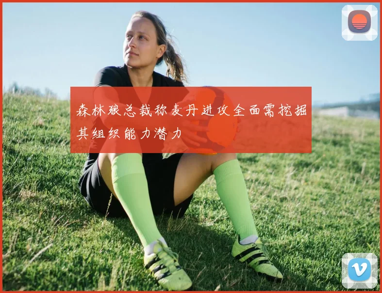 森林狼总裁称麦丹进攻全面需挖掘其组织能力潜力